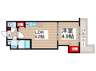 金太郎ヒルズ255の物件間取画像